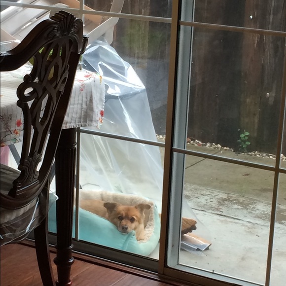 Meet your Posher, Delia - Picture 2 of 4